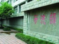 四川省瀘縣第二中學(xué)校2025年招生計(jì)劃