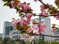 瀘州老窖天府中學(xué)2025年招生計(jì)劃