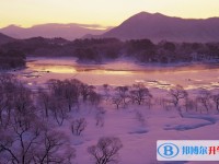 2020年自貢如何查詢中考錄取結果
