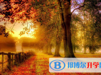 2020銅仁外地生中考怎沒成績(jī)