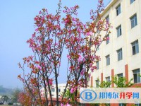遵義清華中學(xué)2025年學(xué)費(fèi)、收費(fèi)多少