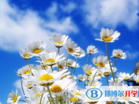 成都中考網錄取系統