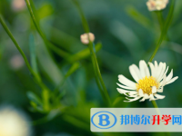 2021渭南中考服務(wù)平臺(tái)