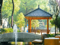 越西中學(xué)2025年排名