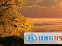 2021年涼山中考重點線是多少