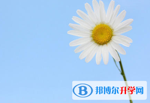 2021年咸陽中考志愿填報(bào)網(wǎng)址
