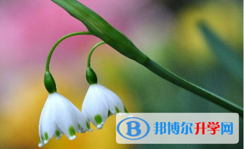 2021年安康中考報(bào)名