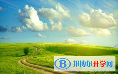 成都2021年今年的中考成績(jī)