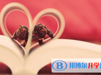 遂寧2022年中考重點線預測