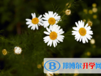 內江2022年中考線