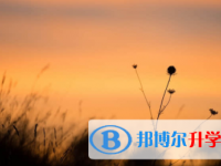 眉山2022年中考報(bào)名查詢