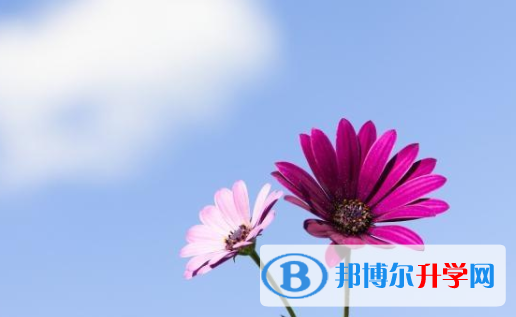 達(dá)州2022年中考報(bào)名網(wǎng)
