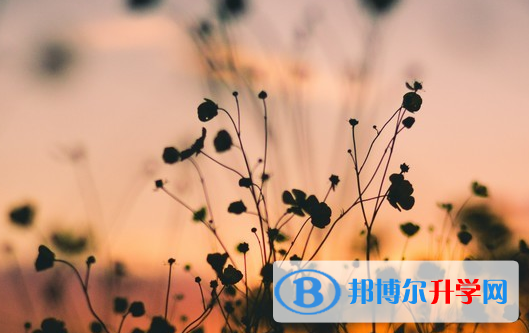 達(dá)州2022年中考體考成績(jī)查詢