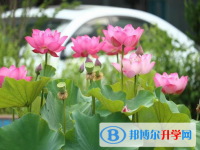 河北師范大學(xué)田家炳中學(xué)2025年招生計(jì)劃