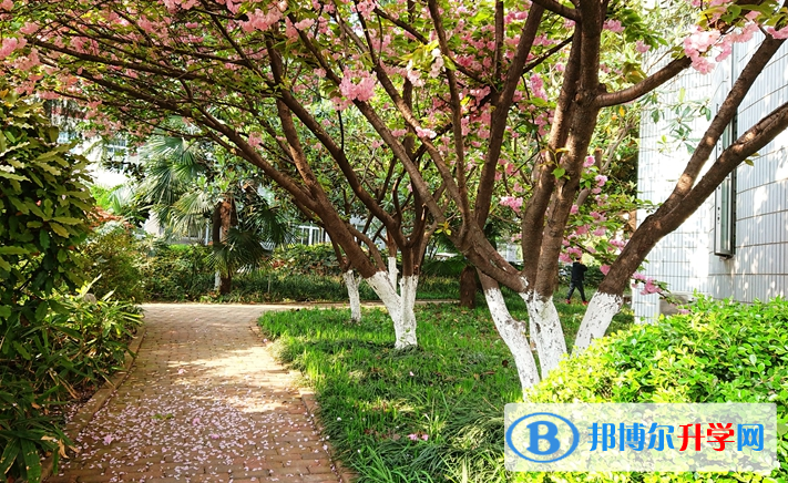 合肥第六中學(xué)2023年招生簡(jiǎn)章 