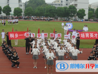 浙江省桐鄉(xiāng)第一中學(xué)2023年招生錄取分?jǐn)?shù)線