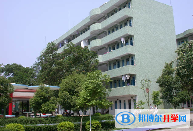 遂溪縣第一中學(xué)怎么樣、好不好