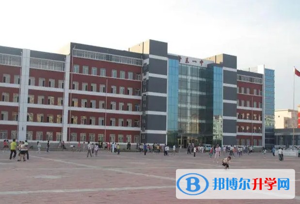 2024肇東市第四中學校招生計劃 招生人數是多少(附要求、條件、對象)