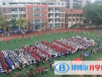 2025自貢六中招生計劃 招生人數是多少(附要求、條件、對象)