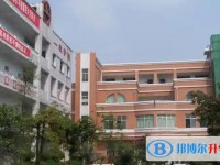 2025自貢二十二中招生計劃 招生人數(shù)是多少(附要求、條件、對象)