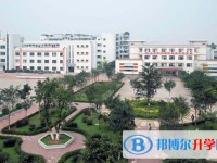 2025四川省富順縣趙化中學(xué)校招生計劃 招生人數(shù)是多少(附要求、條件、對象)