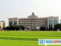 2025綿陽外國語學校招生計劃 招生人數是多少(附要求、條件、對象)
