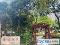 2025開元中學招生計劃 招生人數(shù)是多少(附要求、條件、對象)