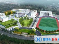 蒼溪縣歧坪中學(xué)地址，乘車路線